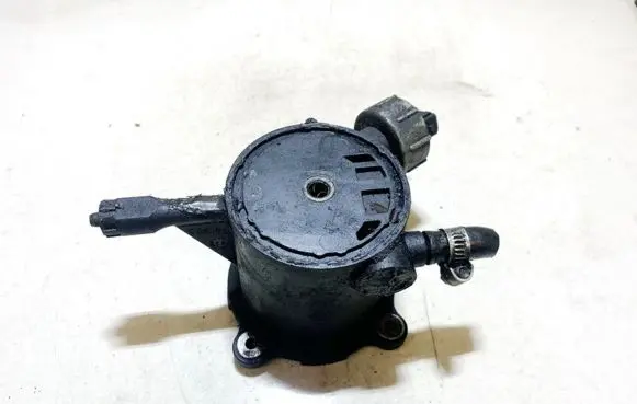 Peugeot 406 Fuel filter 9613344580