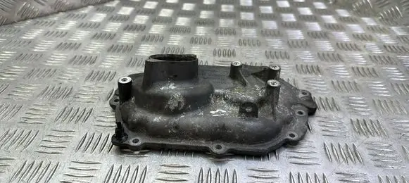 Land Rover Discovery Sport Timing chain cover G4D36P053AB
