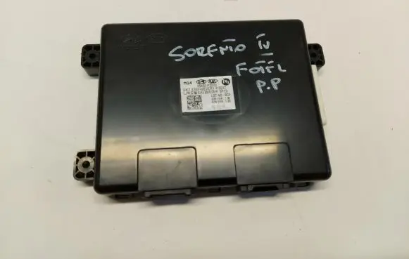 KIA Sorento IV Other control units/modules 95450-p2000