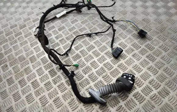 Ford Ecosport Front door wiring loom FN1T14631