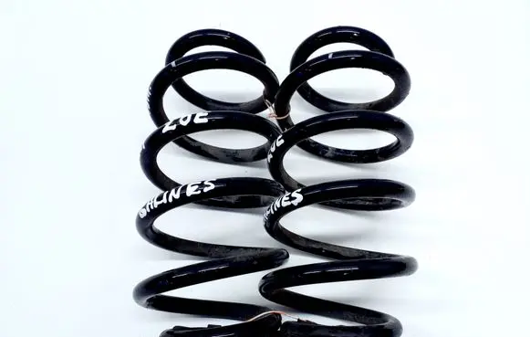 Renault Zoe Set of springs and shock absorbers (Front and rear) 