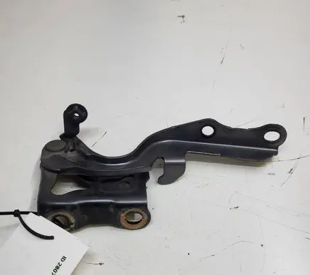Lexus NX Engine bonnet/hood hinges