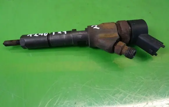 Citroen C5 Fuel injector 0445110076