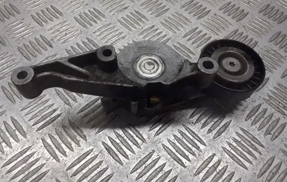Seat Cordoba (6L) Alternator belt tensioner pulley 