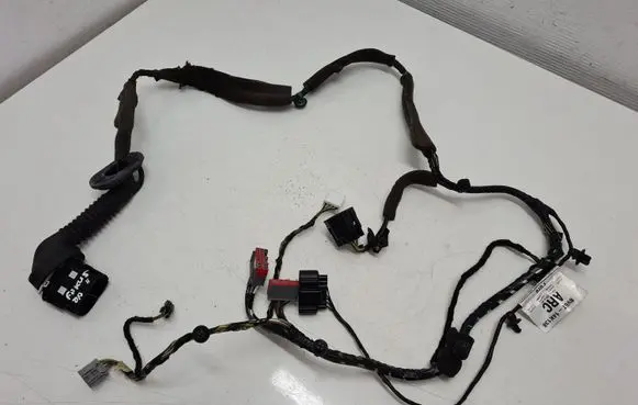Front door wiring loom