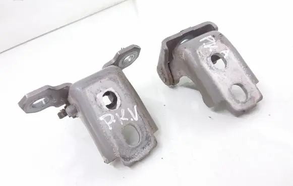 Renault Megane III Front door hinge set 80100011RG