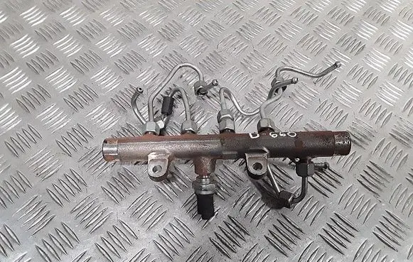 Dacia Duster Fuel main line pipe H8200704217 8200704212