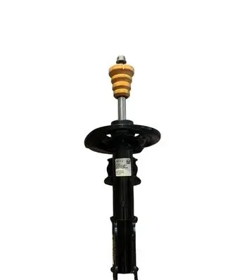 Ford Mustang VII Front shock absorber/damper PR3C18045AF 2408262 PR3C18045A