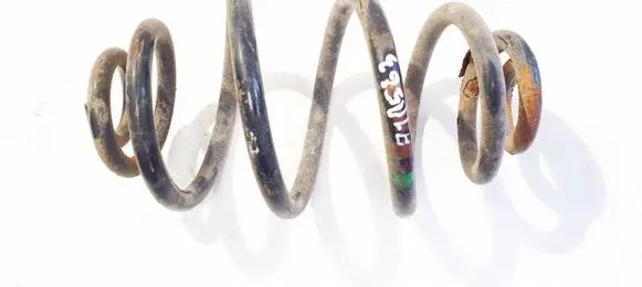 Rear coil spring