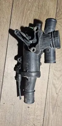 Thermostat/thermostat housing