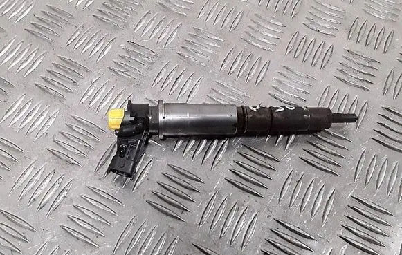 Nissan Qashqai Fuel injector 0445115007 H82409398