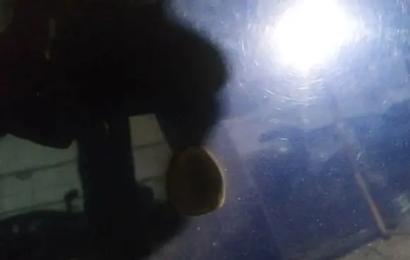 Windshield washer spray nozzle