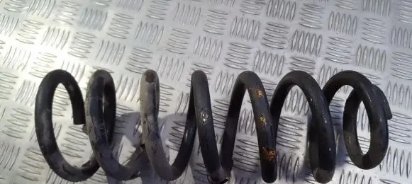 Peugeot 406 Rear coil spring