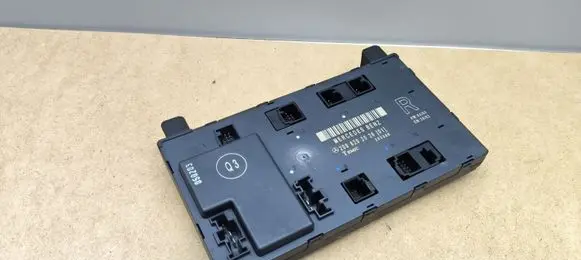 Mercedes-Benz CLK A209 C209 Door control unit/module 2098202026