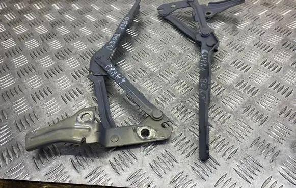 Cupra Born Engine bonnet/hood hinges 10A823362A