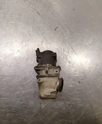 EGR valve