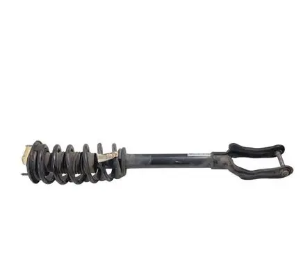 Dodge Durango Front shock absorber with coil spring 68029501AE 1A14973A P05168200AB