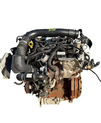 Ford Focus Engine M1DD