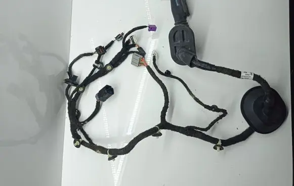 Chrysler Pacifica Front door wiring loom P68310303AC TC11Q051800069