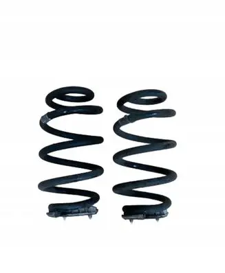 BMW 1 F40 Rear coil spring 6866770