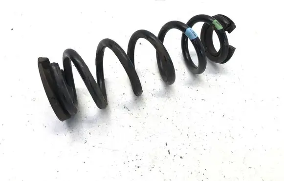 Rear coil spring