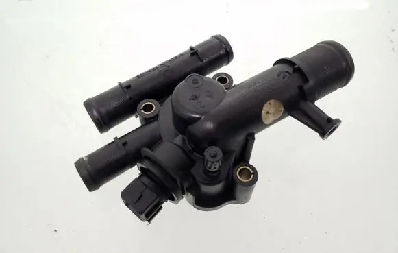 Thermostat/thermostat housing