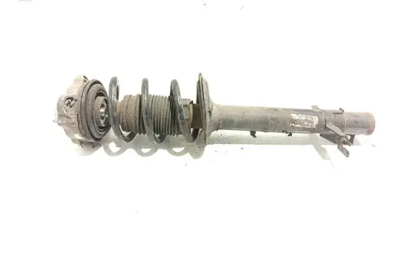 Fiat Ducato Front shock absorber with coil spring 