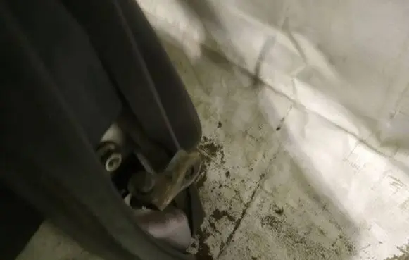 Mazda 6 Front door check strap stopper 