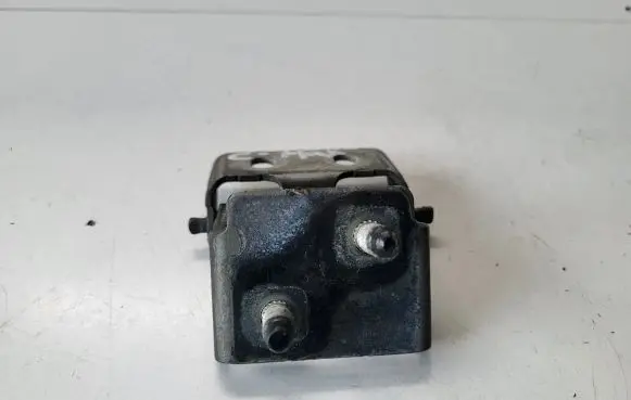 Ford C-MAX II Tailgate/trunk/boot hinge