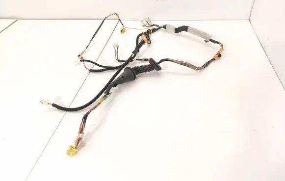 Front door wiring loom
