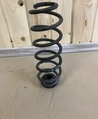Volkswagen New Beetle Rear coil spring