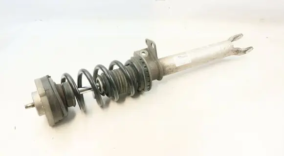 BMW M6 Rear shock absorber with coil spring 2284847 33522284847