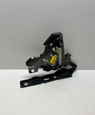 Audi A8 S8 D5 Engine bonnet/hood hinges 4n0823301 4n0823823