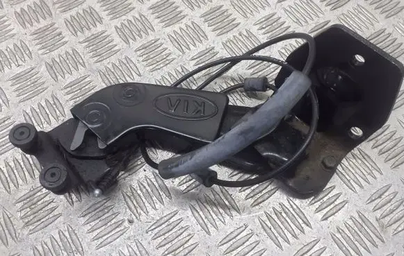 KIA Carnival Loading door lower hinge 