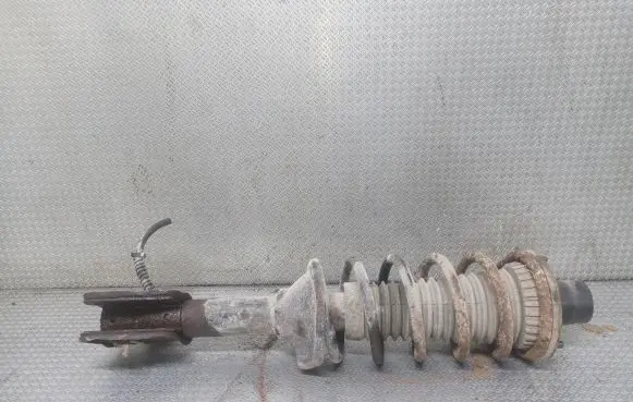 Land Rover Freelander Rear shock absorber with coil spring 