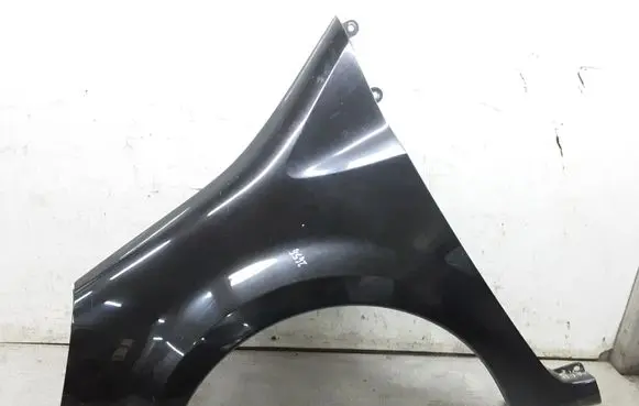 Renault Modus Fender