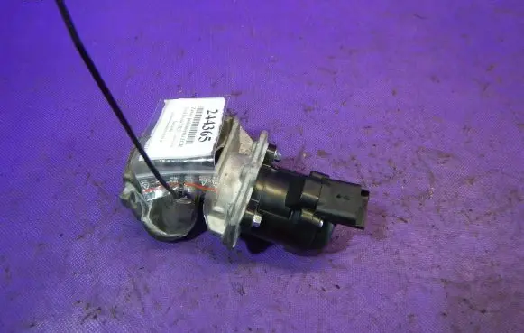 Ford Focus C-MAX EGR valve EG10401