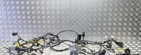 Hyundai i20 (PB PBT) Left interior wiring harness 915004P650 915004P650H65