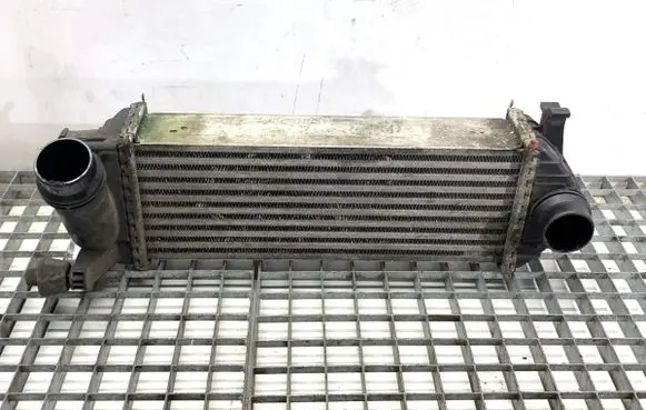 Mercedes-Benz Citan W415 Intercooler radiator 144963234R