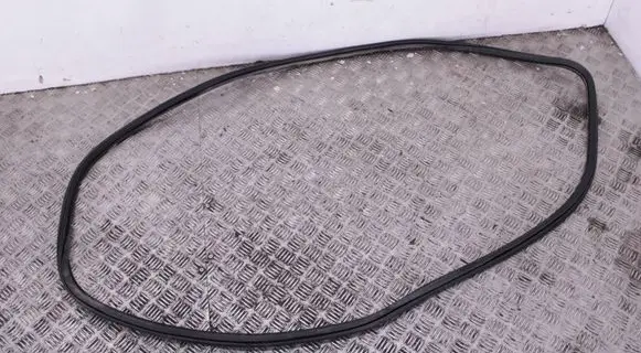Audi Q5 SQ5 Front door rubber seal 8R0831721F