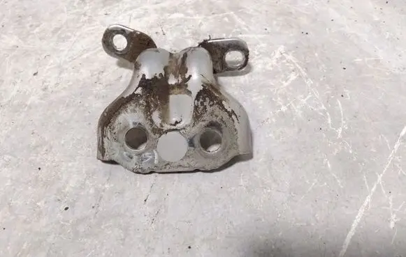 KIA Sorento Rear door lower hinge