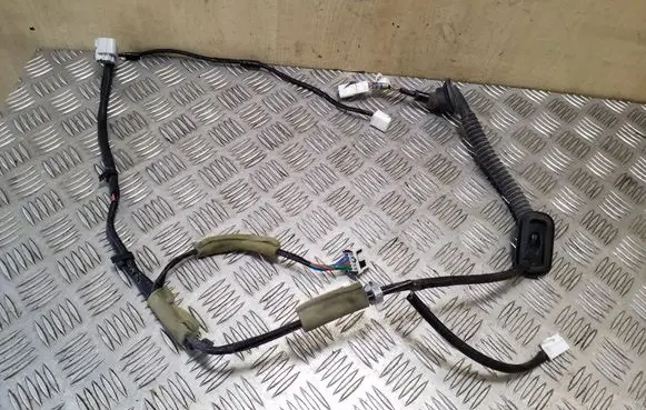 Rear door wiring loom
