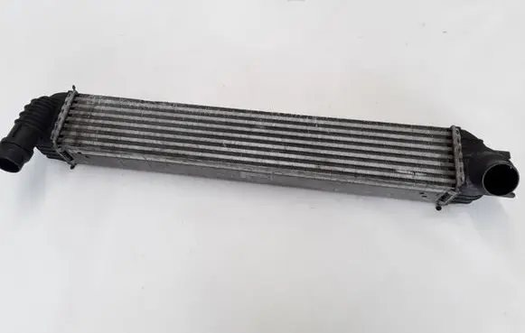 Renault Laguna III Intercooler radiator 144610001N