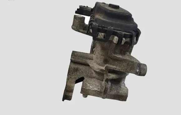 Peugeot 208 I EGR valve 9807369980