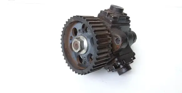 Opel Insignia A Fuel injection high pressure pump 0445010193 55571005
