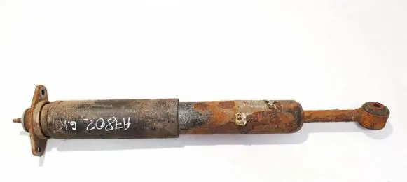 Rear shock absorber/damper