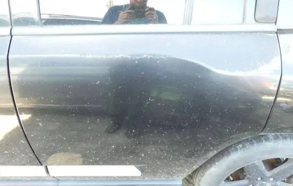 Jeep Compass Rear door