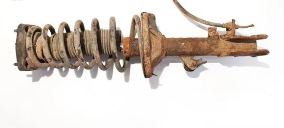 Rear shock absorber/damper