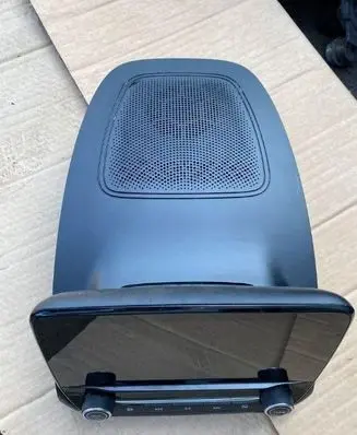 Ford Ecosport Panel speaker brak