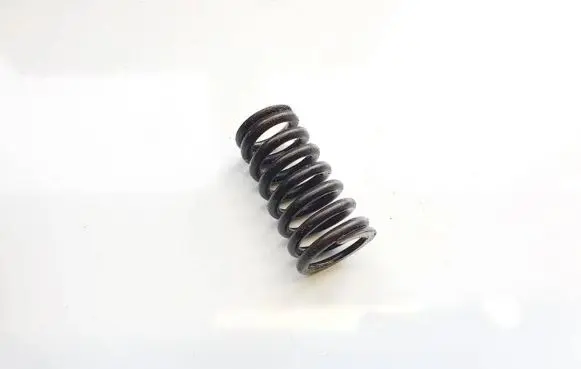 Opel Astra H Valve spring 
